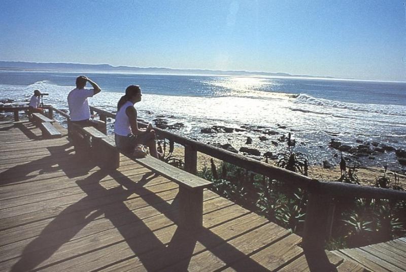 Hotel Diaz 15 House On The Bay Jeffreys Bay Exterior foto